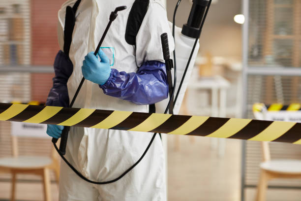 Professional Hoarding Cleanup technician working in Bath, NH
